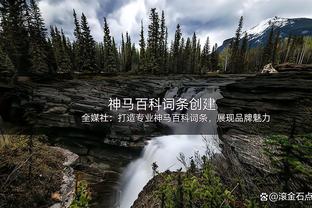 肿么啦？申京半场5投0中&罚球2中0得分挂蛋 只拿下5板4助